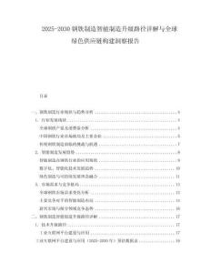 2025-2030鋼鐵制造智能制造升級(jí)路徑詳解與全球綠色供應(yīng)鏈構(gòu)建洞察報(bào)告