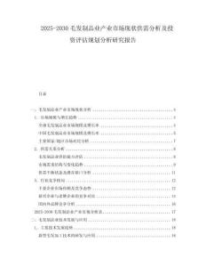 2025-2030毛发制品业产业市场现状供需分析及投资评估规划分析研究报告