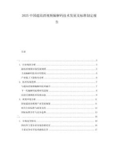 2025中國超高清視頻編解碼技術發(fā)展及標準制定報告