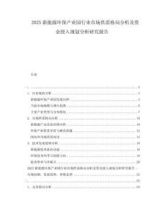 2025新能源环保产业园行业市场供需格局分析及资金投入规划分析研究报告