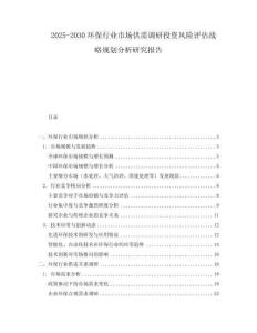 2025-2030环保行业市场供需调研投资风险评估战略规划分析研究报告