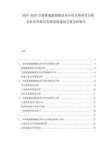 2025-2030甘肅新能源儲(chǔ)能技術(shù)應(yīng)用市場(chǎng)供需分析企業(yè)競(jìng)爭(zhēng)格局發(fā)展思路規(guī)劃方案分析報(bào)告