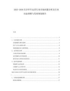 2025-2030共享单车运营行业市场问题分析及行业动态调整与发展规划报告