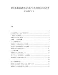 2025新能源汽車動力電池產(chǎn)業(yè)市場供需分析及投資規(guī)劃研究報告