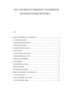 2025-2030歐洲可再生能源設(shè)備產(chǎn)業(yè)市場現(xiàn)狀供需分析及投資評估規(guī)劃分析研究報告