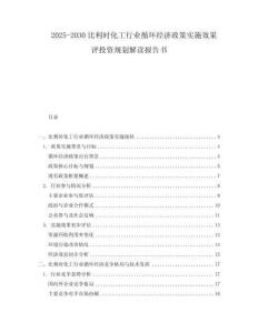 2025-2030比利时化工行业循环经济政策实施效果评投资规划解读报告书
