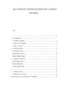 2025中國光伏產(chǎn)業(yè)發(fā)展分析及政策支持與全球競爭力研究報告