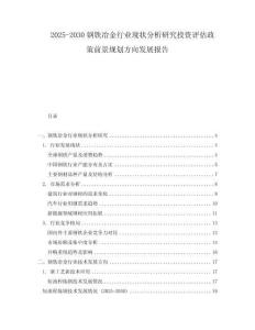 2025-2030鋼鐵冶金行業(yè)現(xiàn)狀分析研究投資評(píng)估政策前景規(guī)劃方向發(fā)展報(bào)告
