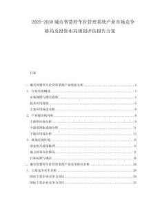 2025-2030城市智慧停車位管理系統(tǒng)產(chǎn)業(yè)市場(chǎng)競(jìng)爭(zhēng)格局及投資布局規(guī)劃評(píng)估報(bào)告方案