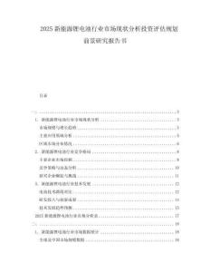 2025新能源鋰電池行業(yè)市場現(xiàn)狀分析投資評估規(guī)劃前景研究報告書