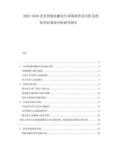 2025-2030北美智能血糖儀行業(yè)現(xiàn)狀供需分析及投資評估規(guī)劃分析研究報告