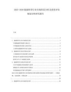 2025-2030能源轉(zhuǎn)型行業(yè)市場供需分析及投資評估規(guī)劃分析研究報告