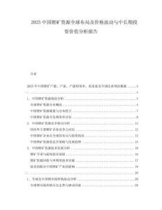 2025中國鋰礦資源全球布局及價格波動與中長期投資價值分析報告
