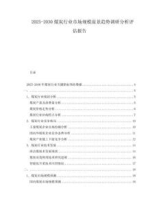 2025-2030煤炭行業(yè)市場(chǎng)規(guī)模前景趨勢(shì)調(diào)研分析評(píng)估報(bào)告