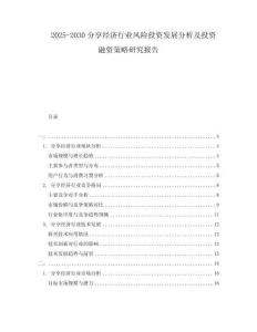 2025-2030分享經(jīng)濟行業(yè)風險投資發(fā)展分析及投資融資策略研究報告