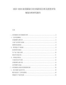 2025-2030南美服装行业市场供需分析及投资评估规划分析研究报告