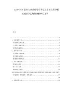 2025-2030农业土豆番茄马铃薯行业市场供需分析及投资评估规划分析研究报告