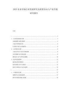 2025东亚市场行业发展研究及政策导向与产业升级研究报告