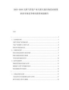 2025-2030天然气管道产业互联互通市场需求政策扶持市场竞争格局投资规划报告