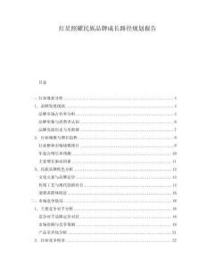 紅星照耀民族品牌成長路徑規(guī)劃報告