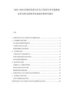2025-2030比利时埃诺大区电子商务行业市场现状运营分析及投资评估规划分析研究报告