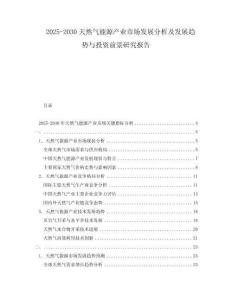 2025-2030天然气能源产业市场发展分析及发展趋势与投资前景研究报告