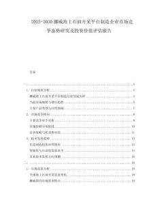2025-2030挪威海上石油开采平台制造企业市场竞争态势研究及投资价值评估报告