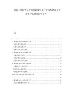2025-2030貿(mào)易等相信跨境電商行業(yè)市場(chǎng)供需分析投資評(píng)估規(guī)劃研究報(bào)告