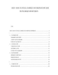 2025-2030共享高爾夫球場(chǎng)行業(yè)市場(chǎng)供需分析及投資評(píng)估規(guī)劃分析研究報(bào)告