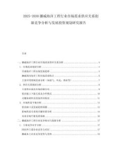 2025-2030挪威海洋工程行業(yè)市場需求供應(yīng)關(guān)系創(chuàng)新競爭分析與發(fā)展投資規(guī)劃研究報告