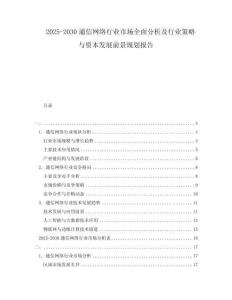 2025-2030通信網(wǎng)絡(luò)行業(yè)市場全面分析及行業(yè)策略與資本發(fā)展前景規(guī)劃報告