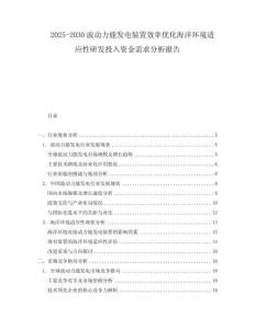 2025-2030波動力能發(fā)電裝置效率優(yōu)化海洋環(huán)境適應(yīng)性研發(fā)投入資金需求分析報告