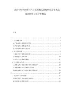 2025-2030農(nóng)業(yè)農(nóng)產(chǎn)品電商模式深度研究競爭現(xiàn)狀前景展望行業(yè)分析報告