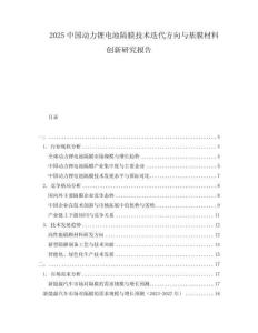 2025中國(guó)動(dòng)力鋰電池隔膜技術(shù)迭代方向與基膜材料創(chuàng)新研究報(bào)告