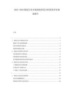 2025-2030煤炭行業(yè)市場現(xiàn)狀供需分析投資評估規(guī)劃報告