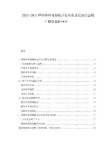 2025-2030嗶哩嗶哩視頻娛樂(lè)行業(yè)市場(chǎng)發(fā)展動(dòng)態(tài)用戶投資策略分析