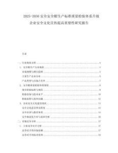 2025-2030安全安全帽生產標準質量檢驗體系升級企業安全文化宣傳提高重要性研究報告