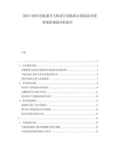 2025-2030民航通用飛機設計適航取證制造技術投資現(xiàn)狀規(guī)劃分析報告