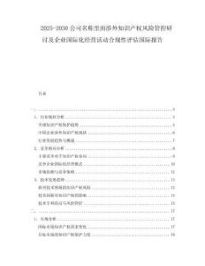 2025-2030公司名稱里面涉外知識產(chǎn)權(quán)風(fēng)險管控研討及企業(yè)國際化經(jīng)營活動合規(guī)性評估國際報告