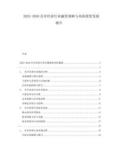 2025-2030共享經(jīng)濟(jì)行業(yè)融資策略與風(fēng)險投資發(fā)展報告
