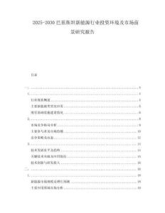 2025-2030巴基斯坦新能源行業(yè)投資環(huán)境及市場前景研究報告