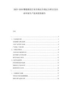 2025-2030鞭炮烟花行业市场安全规定分析以及企业环保生产技术投资报告