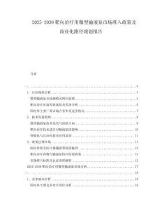 2025-2030靶向治療用微型輸液泵市場準(zhǔn)入政策及商業(yè)化路徑規(guī)劃報(bào)告