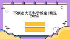 不倒翁大班科学教案(精选2024)