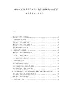 2025-2030挪威海洋工程行业市场洞察及未来扩张和资本走向研究报告