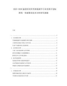 2025-2030猛进结尾世界新能源车行业更新计划标准统一资源繁荣技术分析研究课题