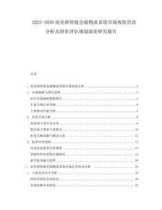 2025-2030南美洲智能倉儲物流系統(tǒng)市場現(xiàn)狀供需分析及投資評估規(guī)劃深度研究報(bào)告