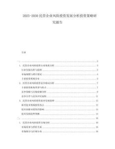 2025-2030民營(yíng)企業(yè)風(fēng)險(xiǎn)投資發(fā)展分析投資策略研究報(bào)告