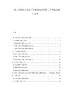 核工業(yè)行業(yè)市場運行分析及安全策略與管理優(yōu)化研究報告