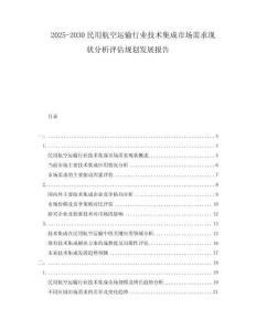 2025-2030民用航空運輸行業(yè)技術(shù)集成市場需求現(xiàn)狀分析評估規(guī)劃發(fā)展報告
